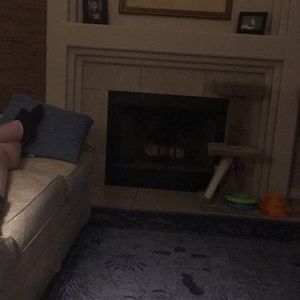 Meet your Posher, Barbara